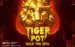 Tiger Pot Hold The Spin Thumbnail 