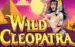 Wild Cleopatra Thumbnail 